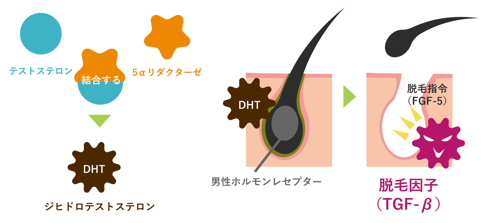 DHTのメカニズム